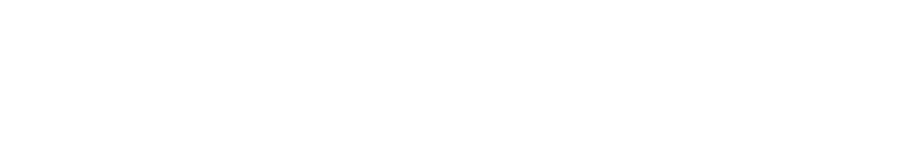 Connex Travel Logo
